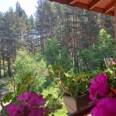 Райчевата Къща - Кюстендил Exterior foto